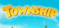 township logo_300x2003.jpg_1